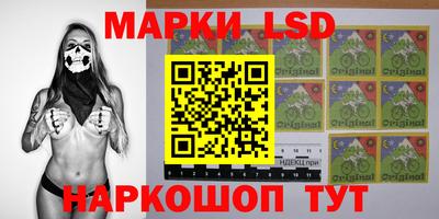 apvp Гатчина