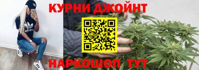 apvp Гатчина