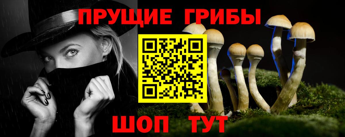 Псилоцибиновые грибы Cubensis  Вход с VPN  наркошоп  Галлюциногенные грибы прущие грибы  Сокол 